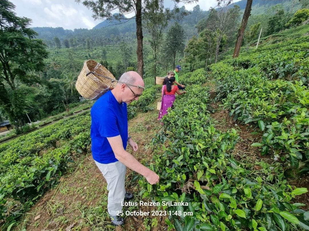Lotus Villa Kandy Peradeniya Kültér fotó
