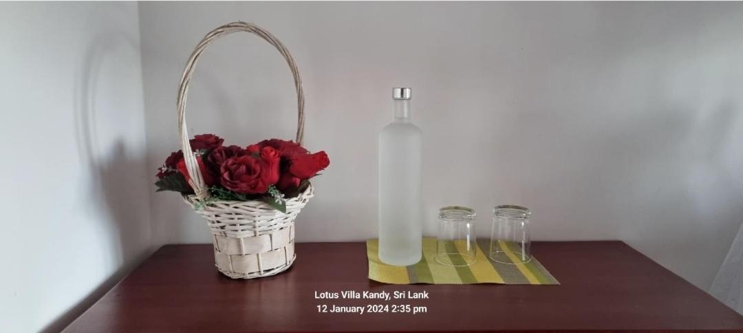 Lotus Villa Kandy Peradeniya Kültér fotó