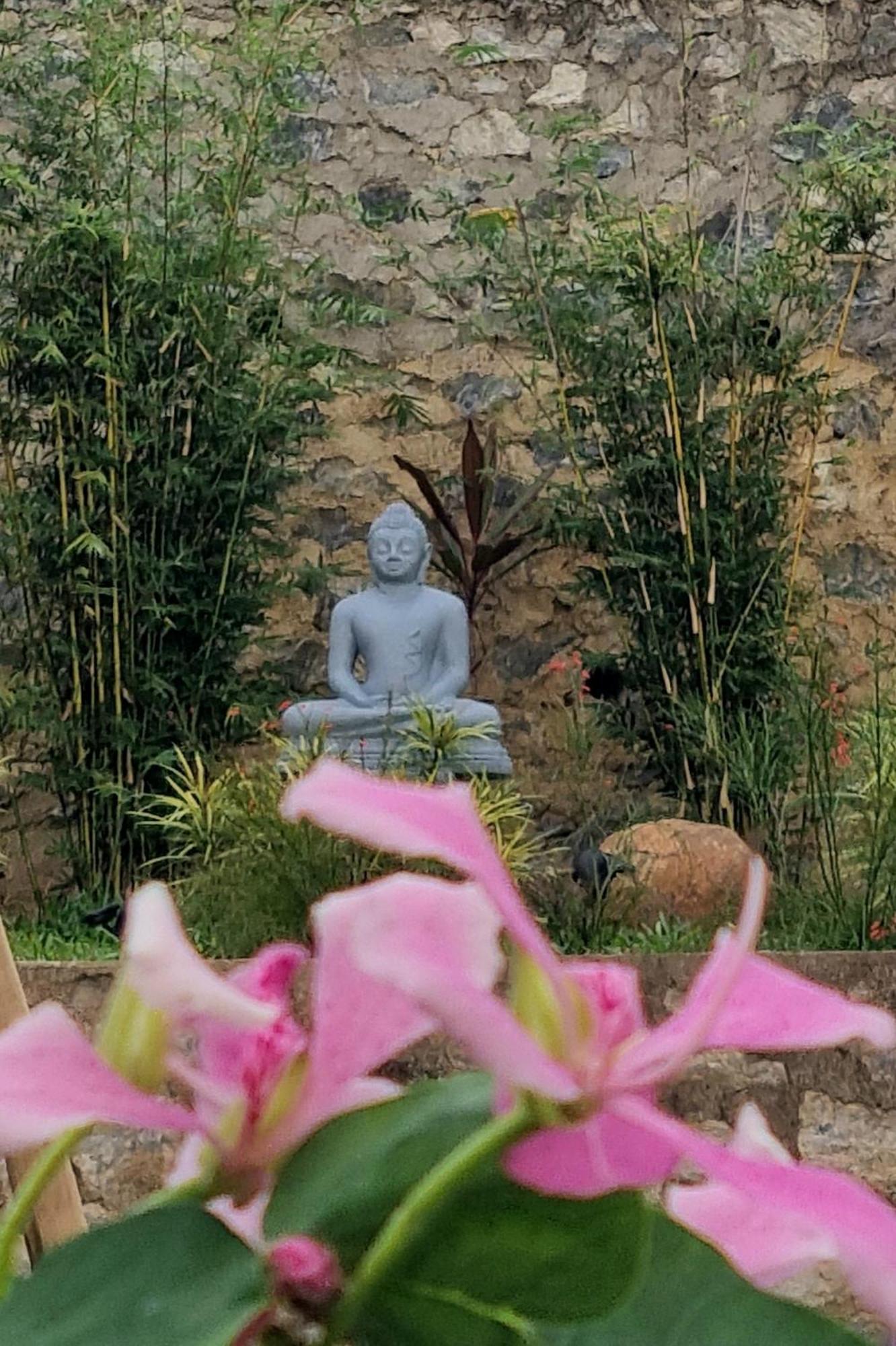 Lotus Villa Kandy Peradeniya Kültér fotó